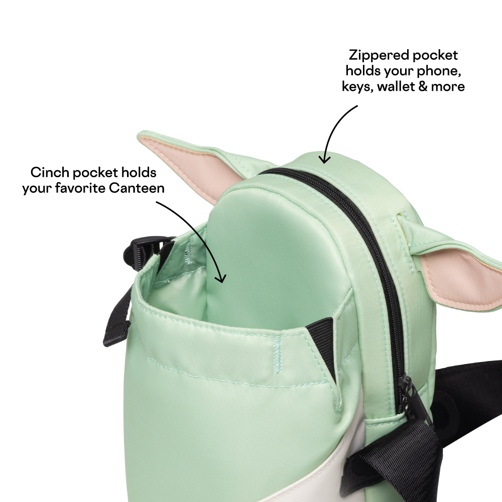 disney-sling-y1 53593b3e49e2--Sling-PDP-4.png