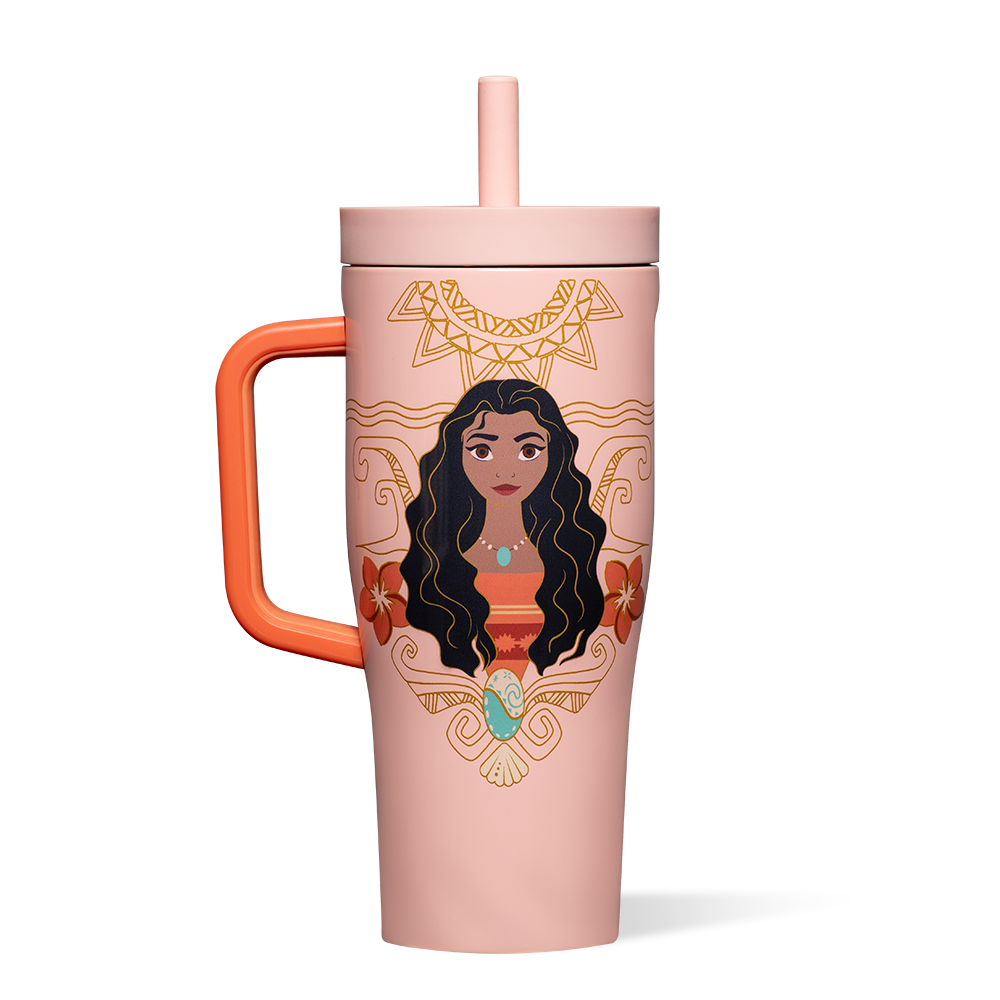 disney-princess-leakproof-cruiser-b4 DIS2222DP-M-01.png